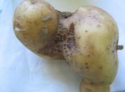 Déformations-Crevasses Déformations-Crevasses