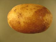 Golding blotch Golding blotch